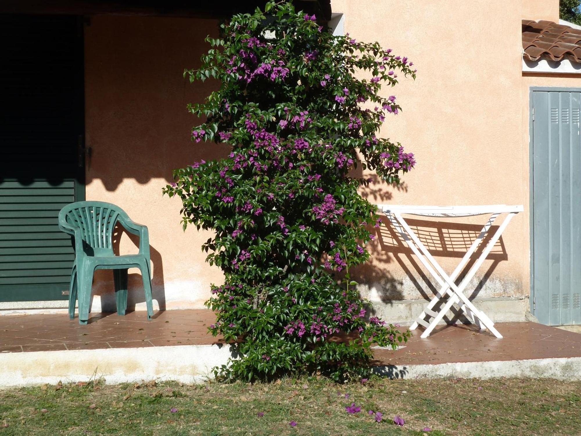 Agriturismo Vaddidulimu Luogosanto Exterior foto